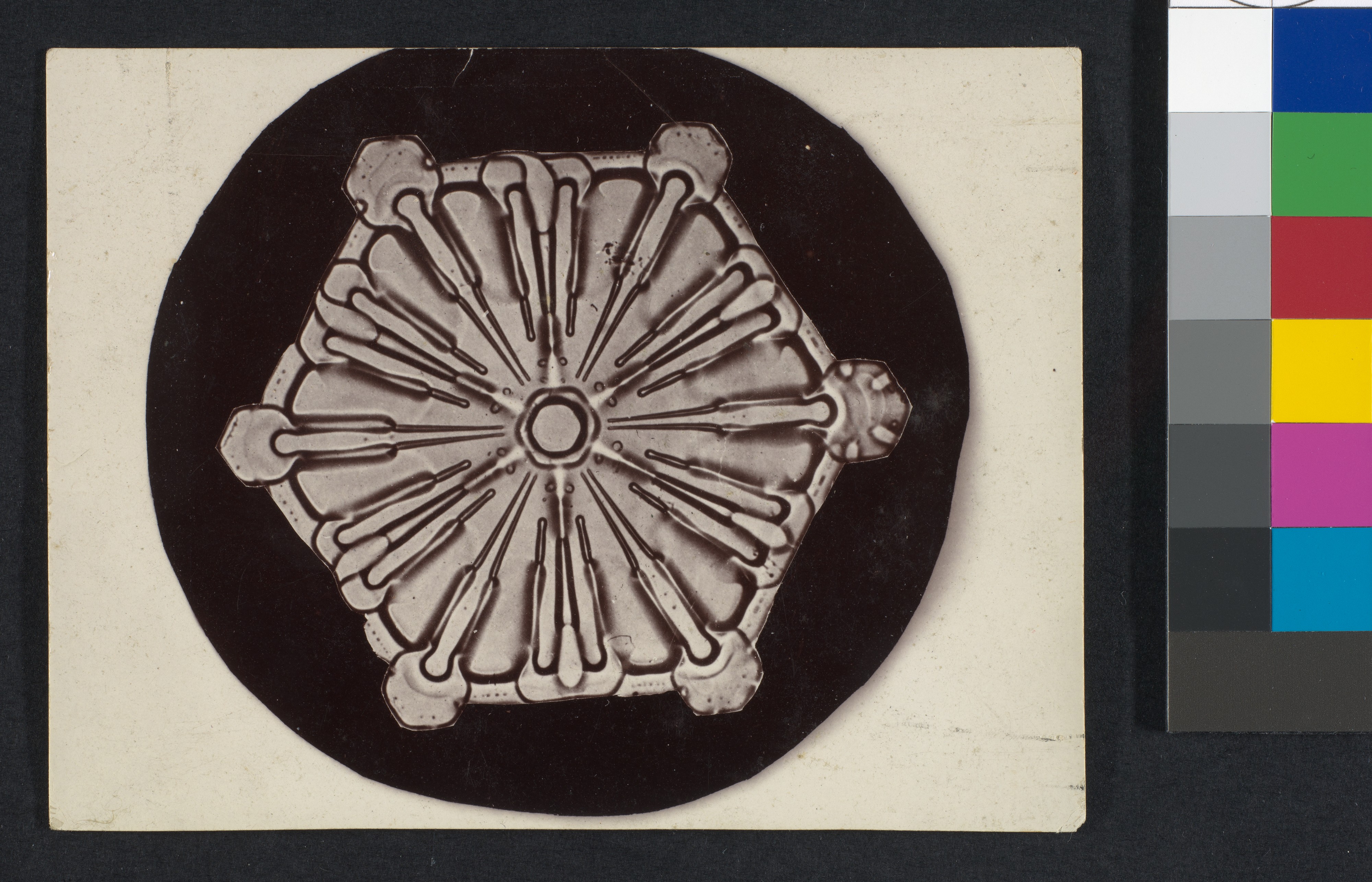 A snow crystal photographed by Wilson Bentley in the early 1900s — the kind of intricate ice formation that Emoto claimed could be influenced by human intention